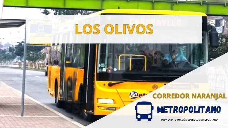 Alimentador_Los_Olivos