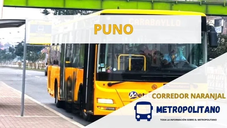 Alimentador_Puno